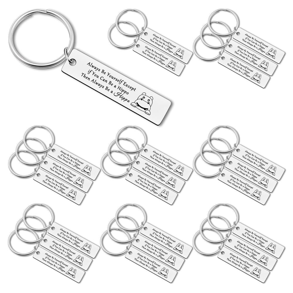 7259 24PCS Hippopotamus Lover Gift Keychains Hippo Encouragement Keychain